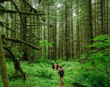 Eco-Tourism certification standard